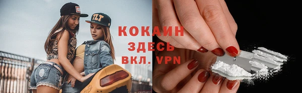 хмурый Козловка