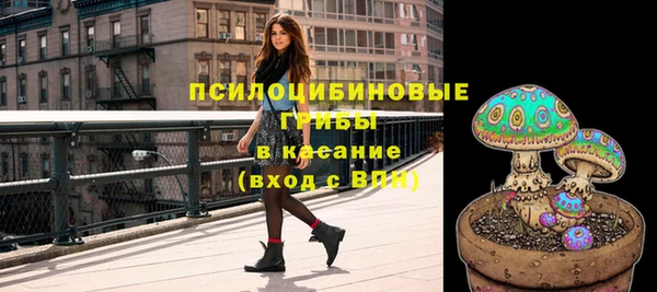 ПСИЛОЦИБИНОВЫЕ ГРИБЫ Кинешма