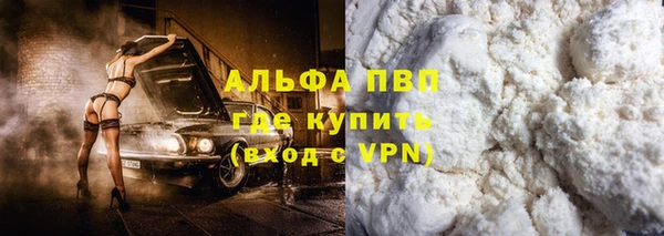 крисы Козельск