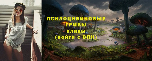 ПСИЛОЦИБИНОВЫЕ ГРИБЫ Кинешма