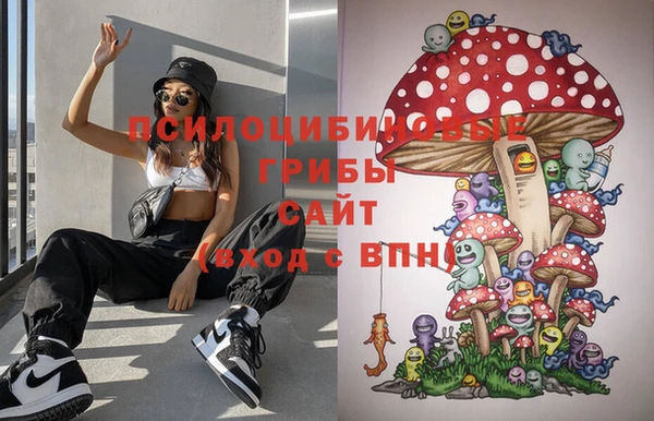 ПСИЛОЦИБИНОВЫЕ ГРИБЫ Кинешма