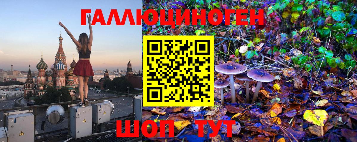 купить  сайты  Абакан  Галлюциногенные грибы мухоморы 