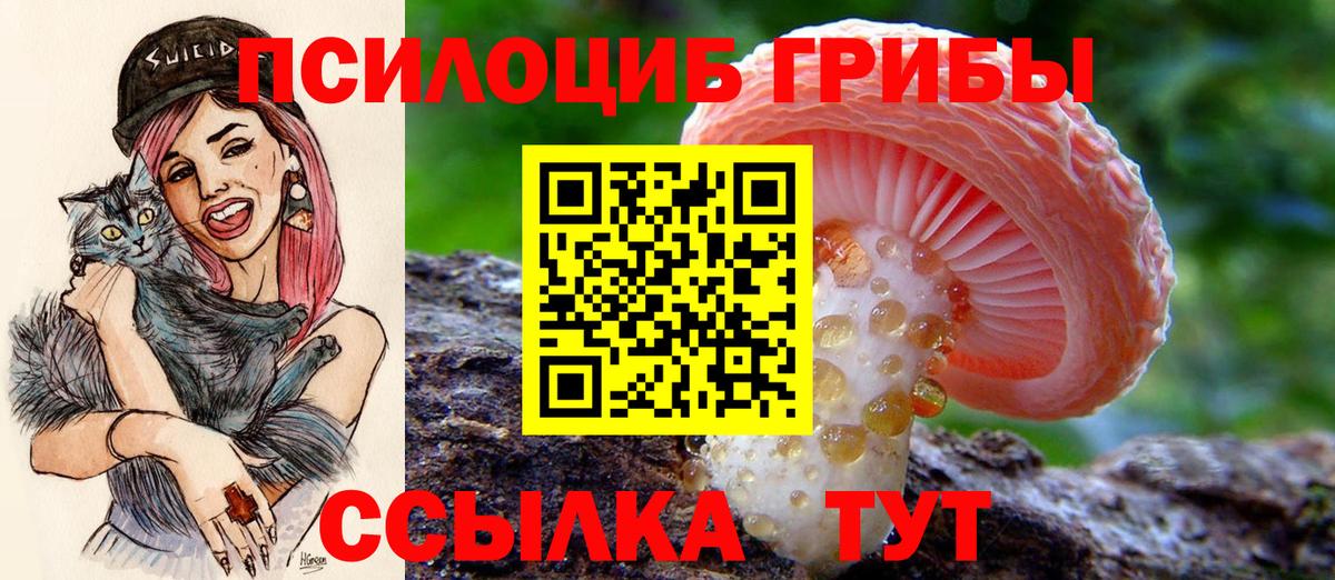 Меф мяу мяу Абакан